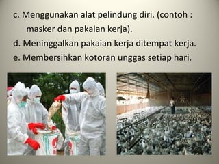 c. Menggunakan alat pelindung diri. (contoh :
masker dan pakaian kerja).
d. Meninggalkan pakaian kerja ditempat kerja.
e. Membersihkan kotoran unggas setiap hari.

 