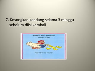 7. Kosongkan kandang selama 3 minggu
sebelum diisi kembali

 