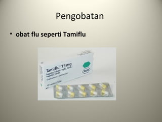 Pengobatan
• obat flu seperti Tamiflu

 