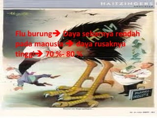 Flu burung Daya sebarnya rendah
pada manusia  daya rusaknya
tinggi 70 %- 80 %

 