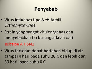 Penyebab
• Virus influenza tipe A  famili
Orthomyxoviride.
• Strain yang sangat virulen/ganas dan
menyebabkan flu burung adalah dari
subtipe A H5N1
• Virus tersebut dapat bertahan hidup di air
sampai 4 hari pada suhu 20 C dan lebih dari
30 hari pada suhu 0 C

 