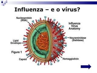 Influenza – e o vírus?   