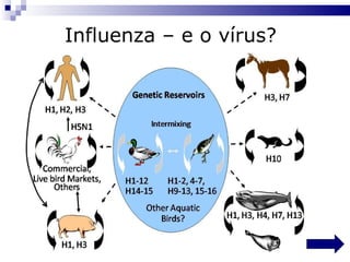Influenza – e o vírus?   