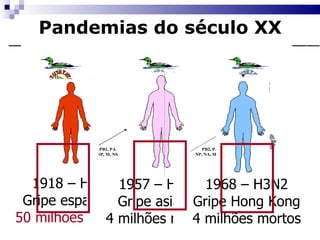 Pandemias do século XX 1918 – H1N1 Gripe espanhola 50 milhões mortos 1957 – H2N2 Gripe asiática 4 milhões mortos 1968 – H3N2 Gripe Hong Kong 4 milhões mortos 