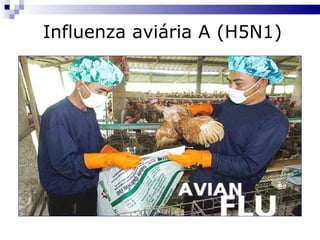Influenza aviária A (H5N1) 