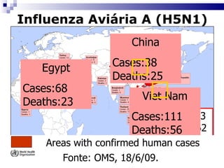 Influenza Aviária A (H5N1) Fonte: OMS, 18/6/09. N=  433 Nº= 262 61% China Cases:38 Deaths:25 Viet Nam Cases:111 Deaths:56 Egypt Cases:68 Deaths:23 Areas with confirmed human cases 