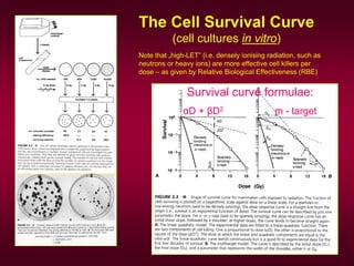 Fluence vs. dose approach waligorski | PDF