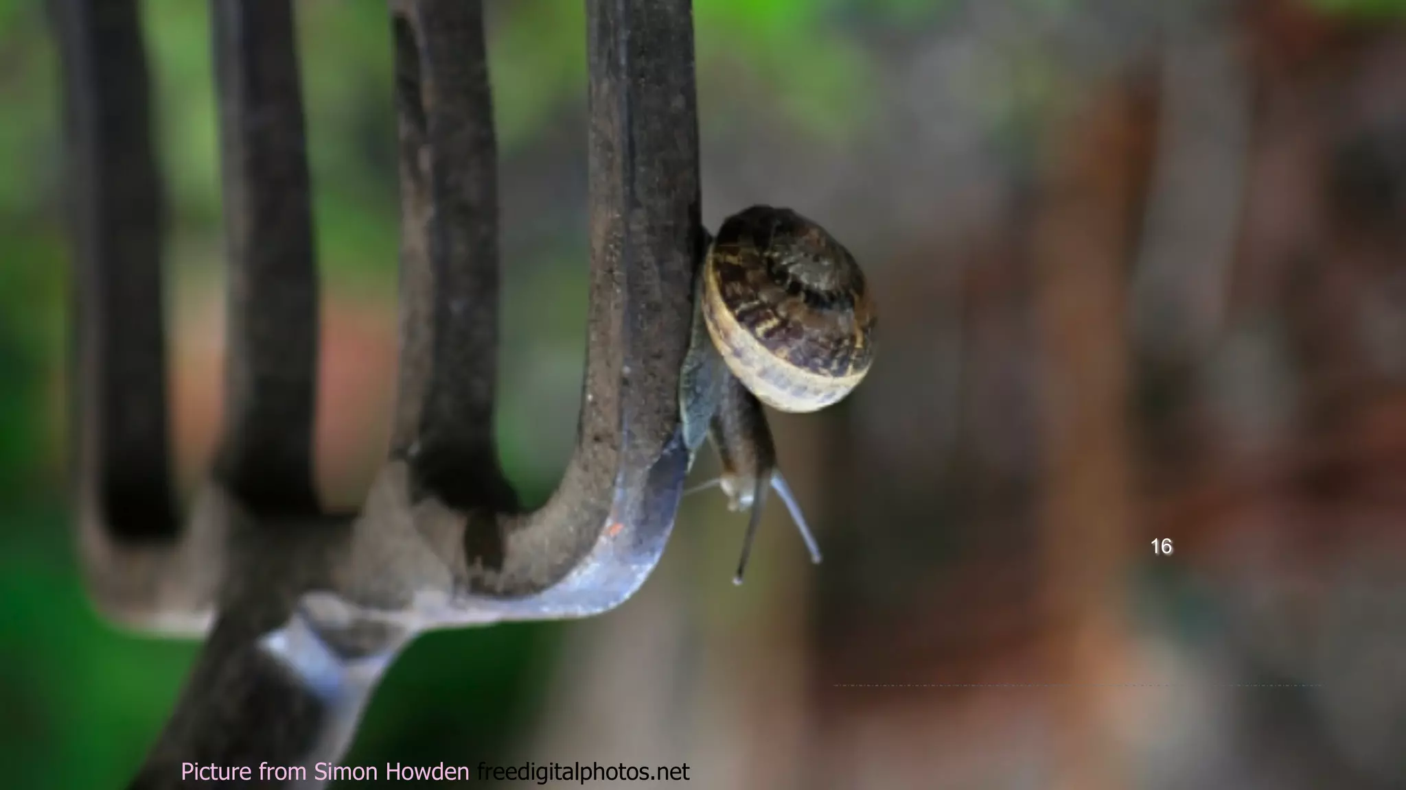 16 Picture from Simon Howden freedigitalphotos.net 