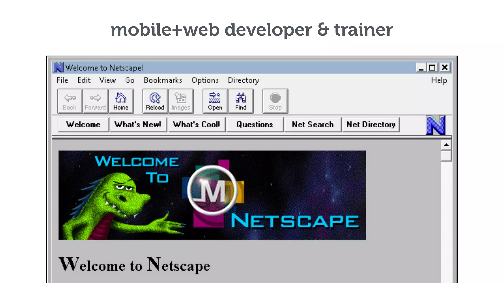 mobile+web developer & trainer 