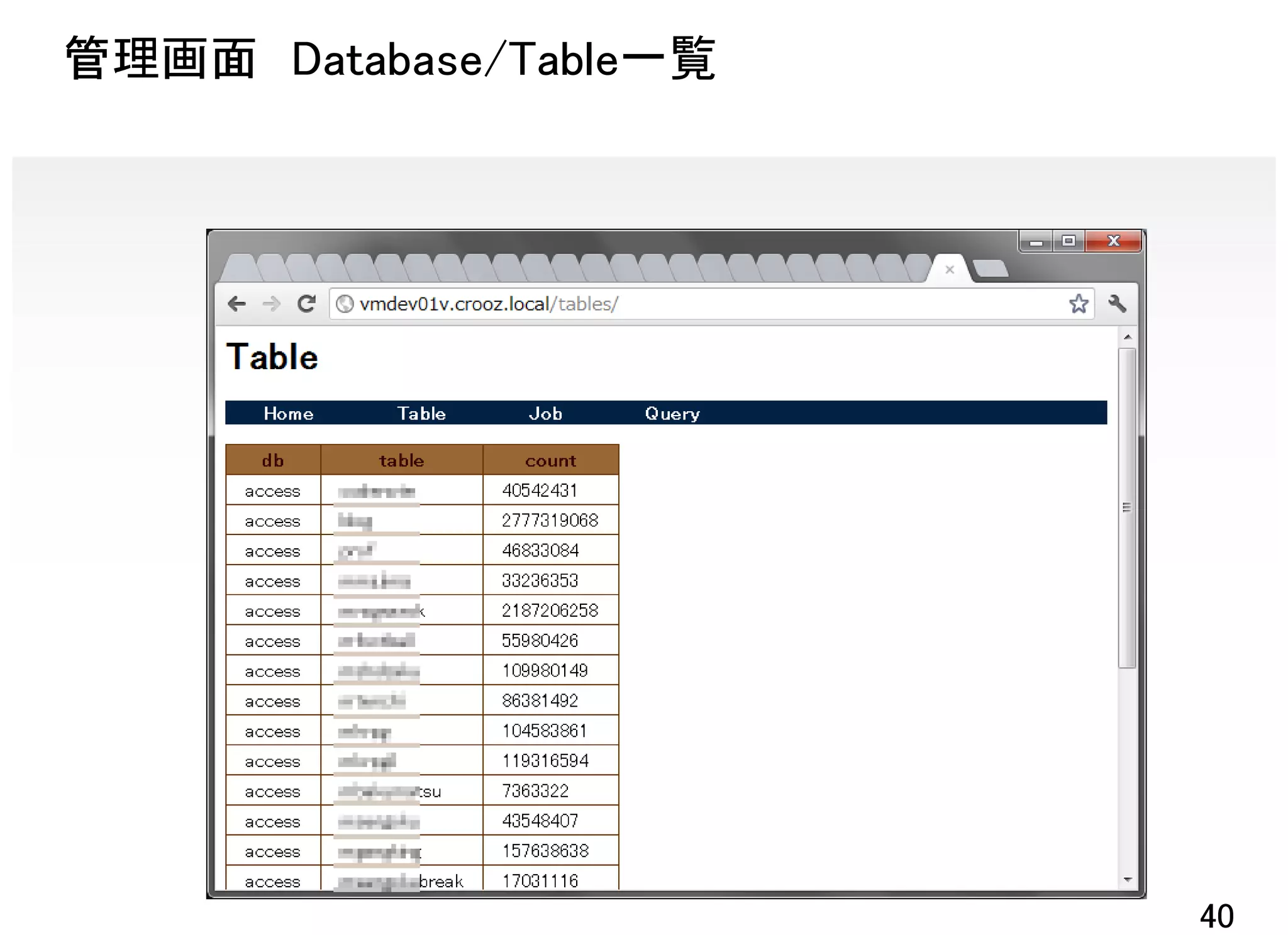 管理画面 Database/Table一覧




                        40
 