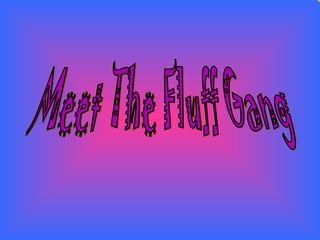 Meet The Fluff Gang 