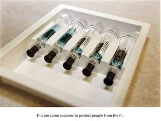 This are some vaccines to protect people from the flu. 