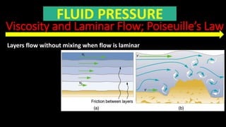 Viscosity and Laminar Flow; Poiseuille’s Law
FLUID PRESSURE
Layers flow without mixing when flow is laminar
 