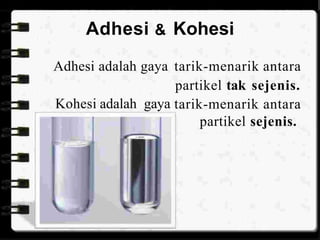 Adhesi Kohesi
&
Adhesi adalah gaya tarik-menarik antara
partikel tak sejenis.
tarik-menarik antara
partikel sejenis.
Kohesi adalah gaya
 