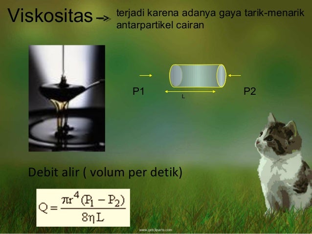 Fluida cairan dan gas