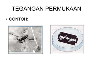 TEGANGAN PERMUKAAN
• CONTOH:
 