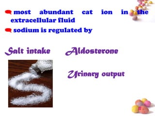  most abundant cat        ion   in   the
 extracellular fluid
 sodium is regulated by


Salt intake     Aldosterone

                 Urinary output


                                      #
 