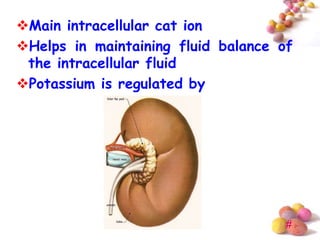 Main intracellular cat ion
Helps in maintaining fluid balance of
 the intracellular fluid
Potassium is regulated by




                                     #
 
