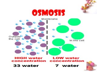 osmosis




          #
 