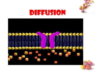 diffusion




            #
 