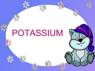 POTASSIUM


            #
 