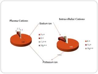 Sodium ion




  Pottasium ion
 