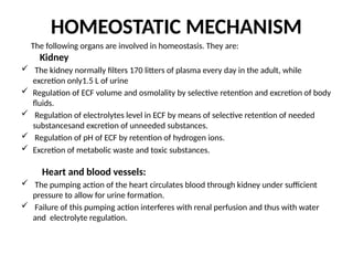 HOMEOSTATIC MECHANISM
The following organs are involved in homeostasis. They are:
Kidney
 The kidney normally filters 170 litters of plasma every day in the adult, while
excretion only1.5 L of urine
 Regulation of ECF volume and osmolality by selective retention and excretion of body
fluids.
 Regulation of electrolytes level in ECF by means of selective retention of needed
substancesand excretion of unneeded substances.
 Regulation of pH of ECF by retention of hydrogen ions.
 Excretion of metabolic waste and toxic substances.
Heart and blood vessels:
 The pumping action of the heart circulates blood through kidney under sufficient
pressure to allow for urine formation.
 Failure of this pumping action interferes with renal perfusion and thus with water
and electrolyte regulation.
 