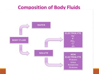 Fluid and electrolyte balance | PPT