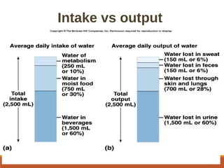 Fluid and electrolyte balance | PPT