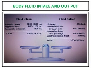 BODY FLUID INTAKE AND OUT PUT
 