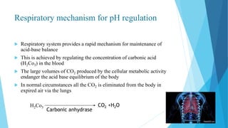 Respiratory mechanism for pH regulation
 Respiratory system provides a rapid mechanism for maintenance of
acid-base balance
 This is achieved by regulating the concentration of carbonic acid
(H2Co3) in the blood
 The large volumes of CO2 produced by the cellular metabolic activity
endanger the acid base equilibrium of the body
 In normal circumstances all the CO2 is eliminated from the body in
expired air via the lungs
H2Co3 CO2 +H2O
Carbonic anhydrase
 