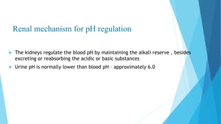 Renal mechanism for pH regulation
 The kidneys regulate the blood pH by maintaining the alkali reserve , besides
excreting or reabsorbing the acidic or basic substances
 Urine pH is normally lower than blood pH – approximately 6.0
 
