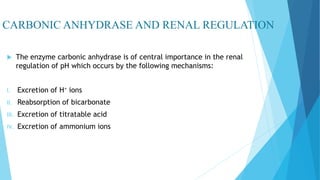 CARBONIC ANHYDRASE AND RENAL REGULATION
 The enzyme carbonic anhydrase is of central importance in the renal
regulation of pH which occurs by the following mechanisms:
I. Excretion of H+ ions
II. Reabsorption of bicarbonate
III. Excretion of titratable acid
IV. Excretion of ammonium ions
 