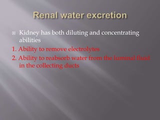  Kidney has both diluting and concentrating
abilities
1. Ability to remove electrolytes
2. Ability to reabsorb water from the luminal fluid
in the collecting ducts
 