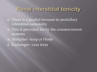  There is a graded increase in medullary
interstitial osmolality
 This is provided for by the countercurrent
systems
 Multplier –loop of Henle
 Exchanger- vasa recta
 