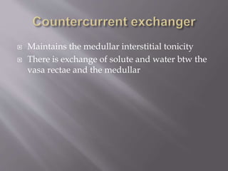  Maintains the medullar interstitial tonicity
 There is exchange of solute and water btw the
vasa rectae and the medullar
 