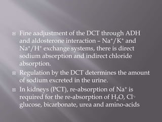  Fine aadjustment of the DCT through ADH
and aldosterone interaction – Na+/K+ and
Na+/H+ exchange systems, there is direct
sodium absorption and indirect chloride
absorption.
 Regulation by the DCT determines the amount
of sodium excreted in the urine.
 In kidneys (PCT), re-absorption of Na+ is
required for the re-absorption of H2O, Cl-,
glucose, bicarbonate, urea and amino-acids
 