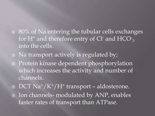  80% of Na entering the tubular cells exchanges
for H+ and therefore entry of Cl- and HCO-
3
into the cells.
 Na transport actively is regulated by;
 Protein kinase dependent phosphorylation
which increases the activity and number of
channels.
 DCT Na+/K+/H+ transport – aldosterone.
 Ion channels- modulated by ANP, enables
faster rates of transport than ATPase.
 