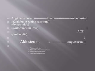  Angiotensinogen ------------›Renin---------------›Angiotensin I
 (α2 globulin renine substrate)
(decapeptide)
 (synthesized in liver) ↓
 ACE
(proteolytic)
 ↓
 Aldosterone ‹---------------- Angiotensin II

 Vasoconstriction
 Stimulates aldosterone release
 Stimulates thirst centre
 Affects ADH secretion
 