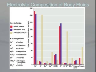 Electrolyte Composition of Body Fluids
 
