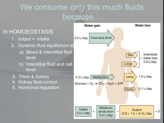 We consume only this much fluids
because…
In HOMOEOSTASIS
1. output = intake
2. Dynamic fluid equilibrium at
a) Blood & interstitial fluid
level
b) Interstitial fluid and cell
level
3. Thirst & Satiety
4. Kidney fluid control
5. Hormonal regulation
 