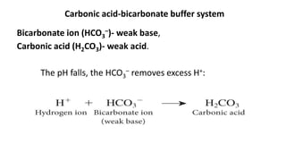 Bicarbonate ion (HCO3
–)- weak base,
Carbonic acid (H2CO3)- weak acid.
The pH falls, the HCO3
– removes excess H+:
Carbonic acid-bicarbonate buffer system
 