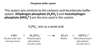This system acts similarly to the carbonic acid-bicarbonate buffer
system. Dihydrogen phosphate (H2PO4
–) and monohydrogen
phosphate (HPO4
2–) are the ions used in this system.
H2PO4
– acts as a weak acid:
Phosphate buffer system
 