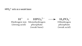 HPO4
2– acts as a weak base:
 