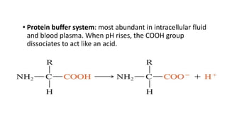 • Protein buffer system: most abundant in intracellular fluid
and blood plasma. When pH rises, the COOH group
dissociates to act like an acid.
 