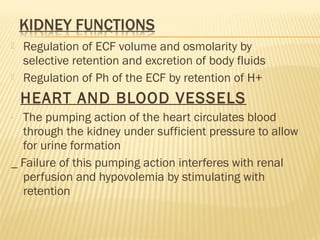  Regulation of ECF volume and osmolarity by
selective retention and excretion of body fluids
 Regulation of Ph of the ECF by retention of H+
HEART AND BLOOD VESSELS
- The pumping action of the heart circulates blood
through the kidney under sufficient pressure to allow
for urine formation
_ Failure of this pumping action interferes with renal
perfusion and hypovolemia by stimulating with
retention
 