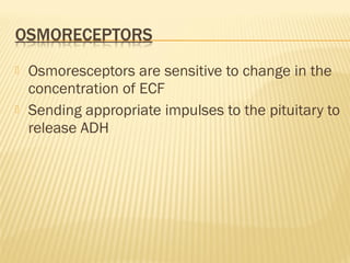  Osmoresceptors are sensitive to change in the
concentration of ECF
 Sending appropriate impulses to the pituitary to
release ADH
 