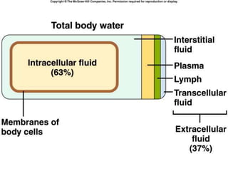 Fluid and Electrolyte Imbalance.pptx