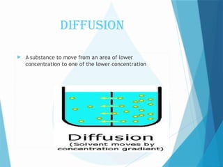 Comprehensive Overview of Fluid, Electrolyte, and Acid-Base Imbalances ...