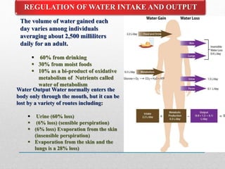 REGULATION OF WATER INTAKE AND OUTPUT
The volume of water gained each
day varies among individuals
averaging about 2,500 milliliters
daily for an adult.
 60% from drinking
 30% from moist foods
 10% as a bi-product of oxidative
metabolism of Nutrients called
water of metabolism
Water Output Water normally enters the
body only through the mouth, but it can be
lost by a variety of routes including:
 Urine (60% loss)
 (6% loss) (sensible perspiration)
 (6% loss) Evaporation from the skin
(insensible perspiration)
 Evaporation from the skin and the
lungs is a 28% loss)
 